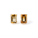 H Collection Earrings